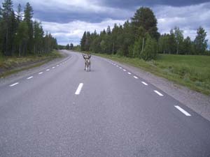 2007_nordkap_026