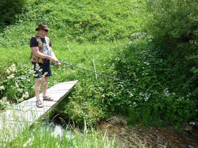2012_ro_426