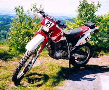 martin01