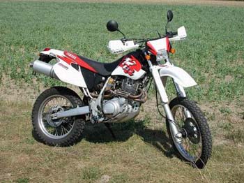 ralf01