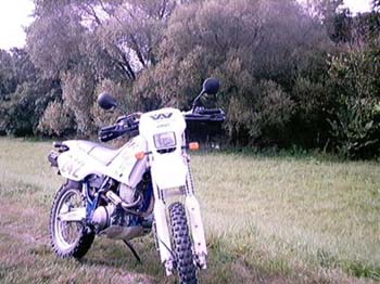 tthomas06