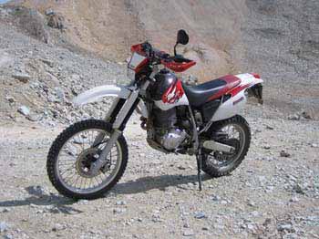 ttorsten01