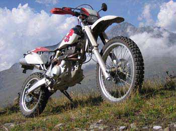 ttorsten06