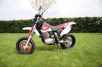 wilfried_tt600r04