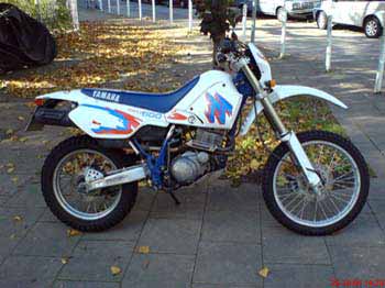 tt600r_wolfgangr01