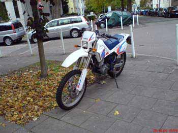 tt600r_wolfgangr04
