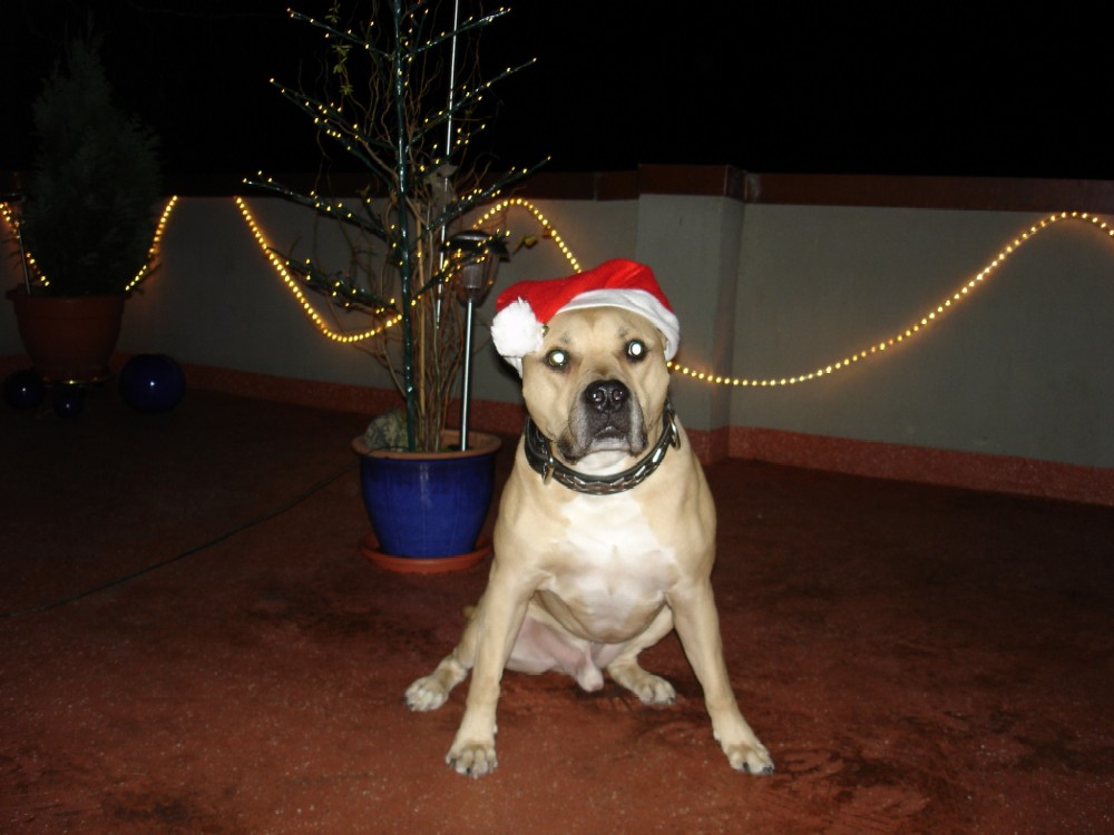 Butchkalender verkleinert 023.jpg Butchkalender verkleinert 023.jpg